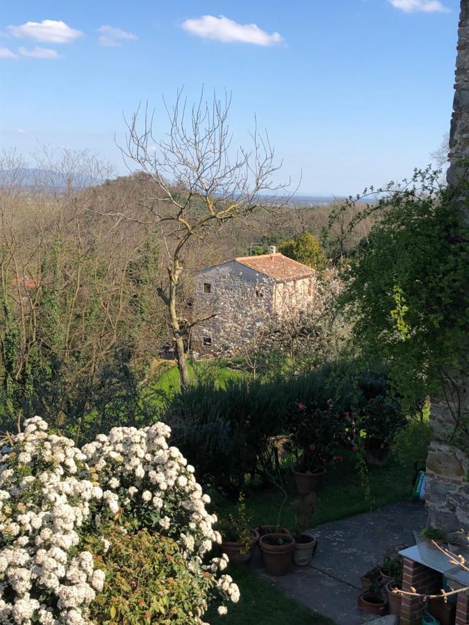 Dolce Vita In Tuscany Cottage Capannori Exterior photo