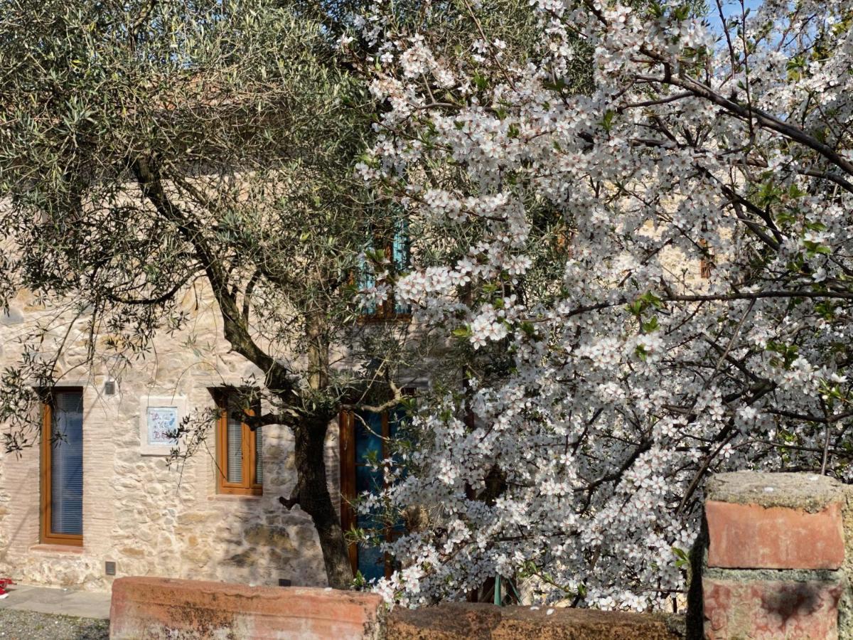Dolce Vita In Tuscany Cottage Capannori Exterior photo