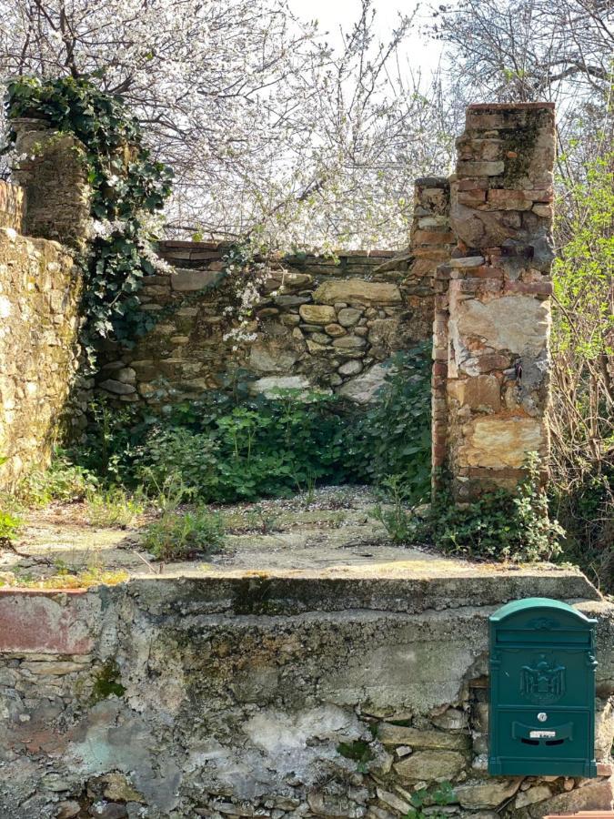Dolce Vita In Tuscany Cottage Capannori Exterior photo